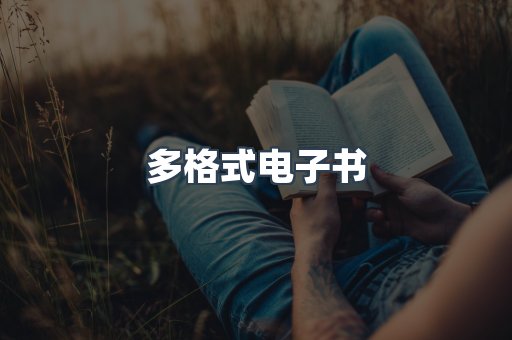 海外电子书